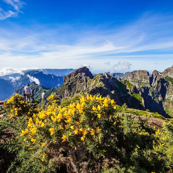 Madeira Holidays