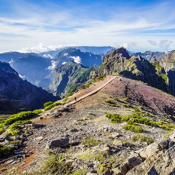 Levadas Madeira