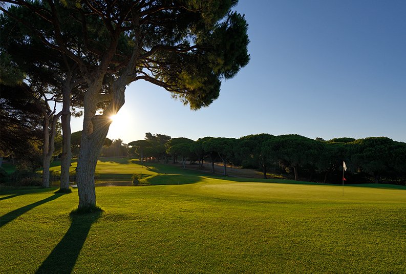 Dom Pedro | Pinhal Golfe
