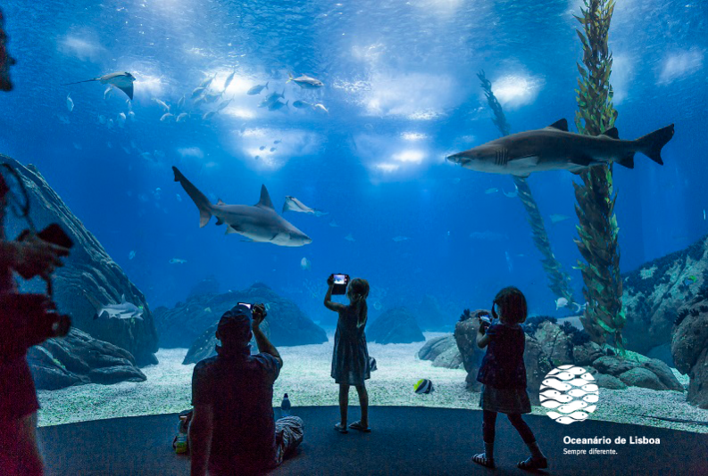 Lisbon Aquarium