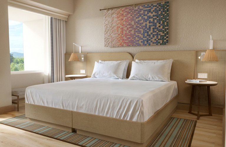 1 King Bed